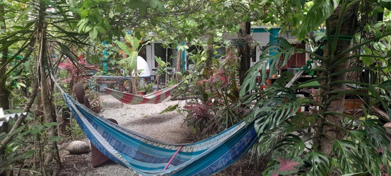 Cabinas Del Mar Sámara Εξωτερικό φωτογραφία